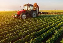 La BERD et la FAO lancent un nouveau programme d’assistance technique pour améliorer la sécurité alimentaire au sud et à l’est de la Méditerranée