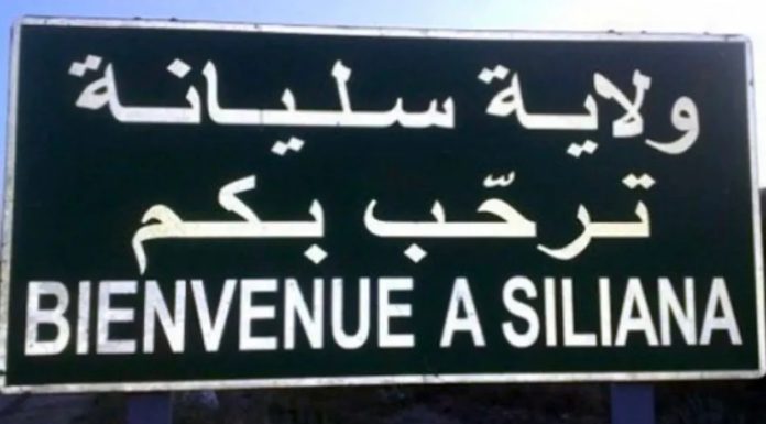 Siliana : Formation sur l’élaboration d’un cahier des charges pour un marché public