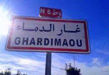 Ghardimaou : A 8 MDT, les travaux de protection contre les inondations progressent