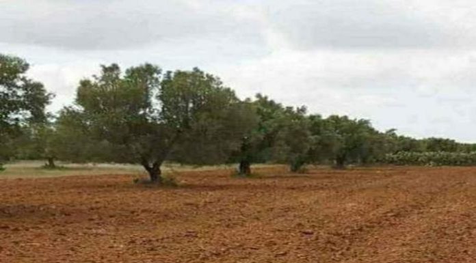 Bizerte : Récupération de deux biens à Mateur