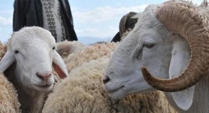 L’Arabie Saoudite annonce la date de l’Aïd Al Adha