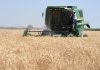 Appel aux agriculteurs à protéger leurs récoltes