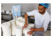 Tourisme- Route Culinaire de Tunisie: Renforcement des capacités de 150 porteurs de projets