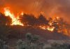 Incendies de forêt : Plus de 140 000 personnes évacuées en France et en Espagne