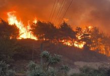 Incendies de forêt : Plus de 140 000 personnes évacuées en France et en Espagne