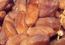 La Tunisie, 2e plus gros exportateur mondial de dattes