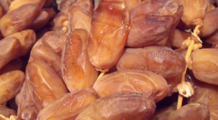 La Tunisie, 2e plus gros exportateur mondial de dattes
