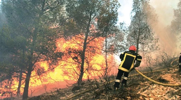 Béja : Incendie maîtrisé à Djebel Eddis