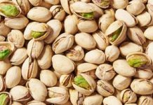 Kasserine : Augmentation de la production de pistaches et d’amandes à Majel Bel Abbès