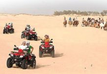 Plus de 941 mille touristes ont visité l’île de Djerba