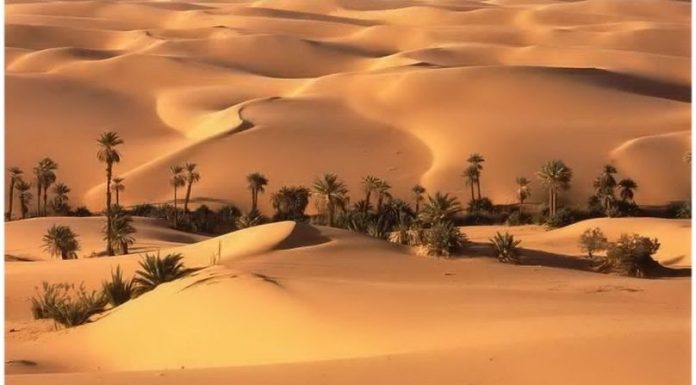 Kébili : Séance de travail consacrée aux moyens de dynamiser le tourisme saharien