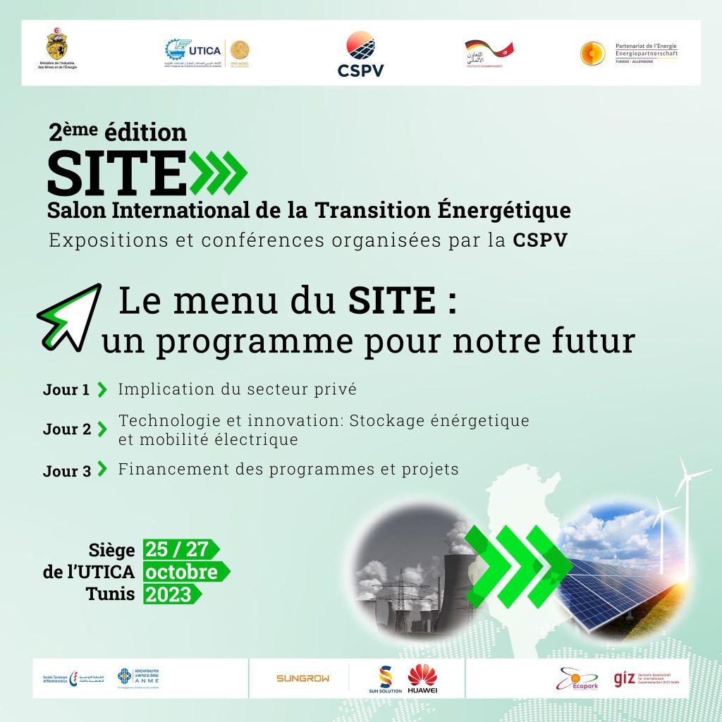 La Tunisie vise 35% d'électricité à partir des énergies renouvelables ...