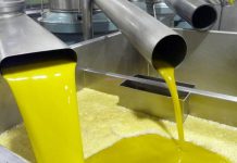 Huile d’olive: Abid annonce le lancement d’un nouveau programme