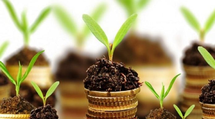 Baisse de la valeur des investissements agricoles de 32,8%, à fin avril 2024