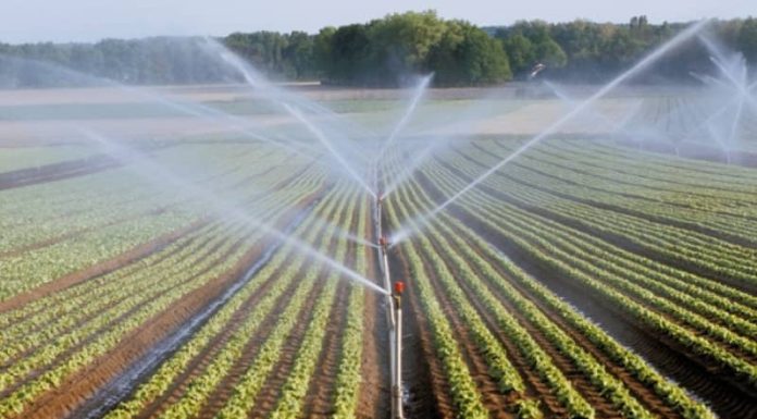 Maroc : Un million d’hectares de superficie irriguée d’ici 2030