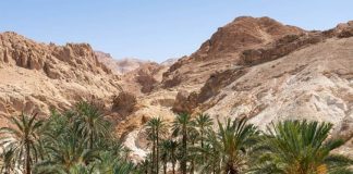 Tozeur : plan d’action régional pour la relance du tourisme