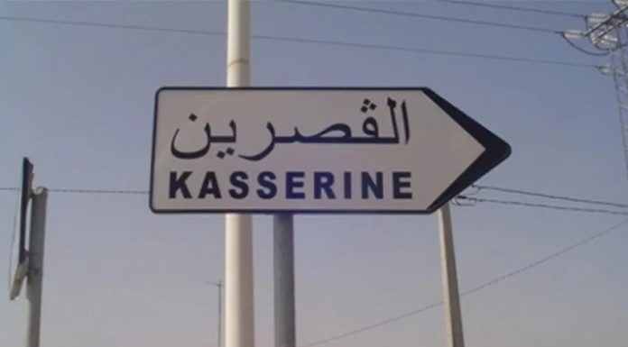 Kasserine : Aucun cas de fièvre du Nil occidental ni de fièvre de la vallée du Rift signalé