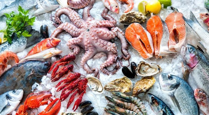 Balance commerciale des produits de la pêche : Excédentaire de 156,2 MDT
