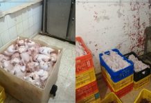 Ariana : Saisie de viande de volaille impropre à la consommation