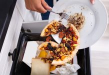 Plus d’un milliard de repas par jour gaspillés, dans un contexte d’insécurité alimentaire pour un tiers de l’humanité