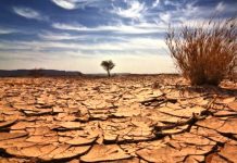 Tunisie : Le volume de perte en eau potable est de 120 millions m3