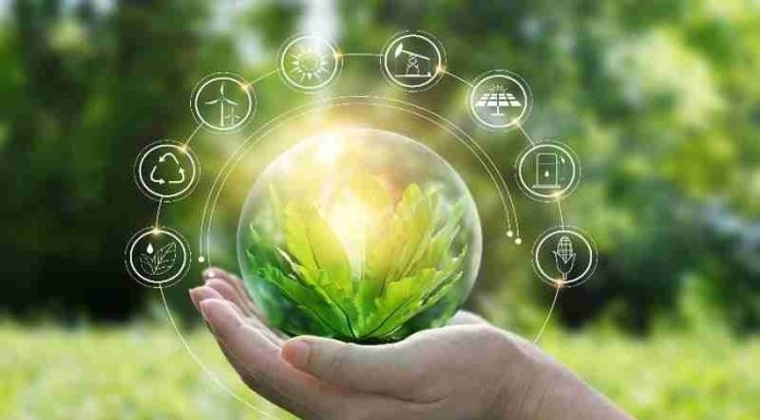 Lancement du processus de révision de la Stratégie Nationale de Transition Ecologique