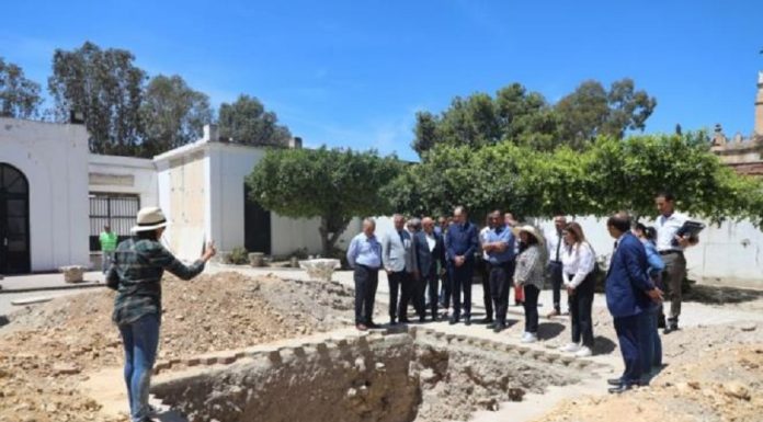 Visite d’inspection de certaines composantes du site archéologique de Carthage