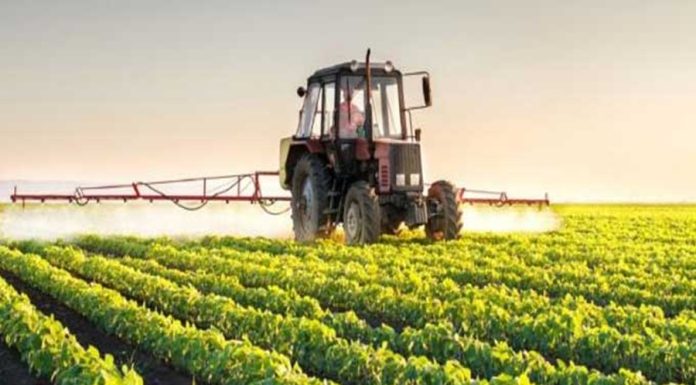 Algérie : Le secteur agricole contribue au PIB à hauteur de 18%