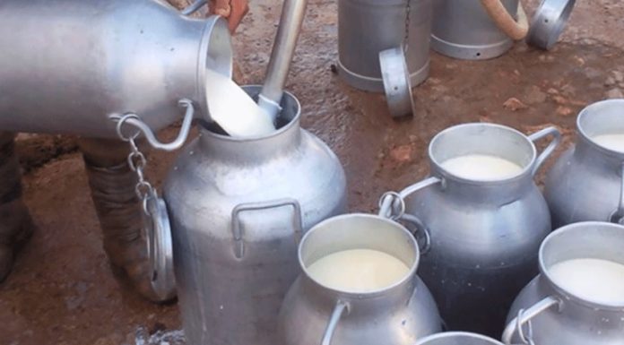 Appels à candidatures pour des formations des professionnels du lait