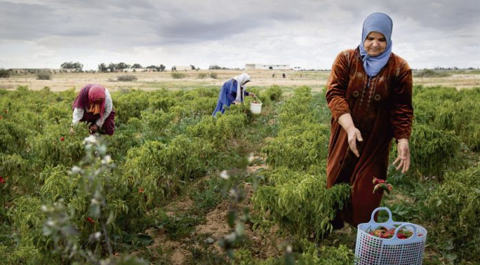Hausse de 30% de financement des projets pour les femmes entrepreneures