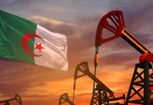Algérie : Sonelgaz annonce un pic historique de consommation !