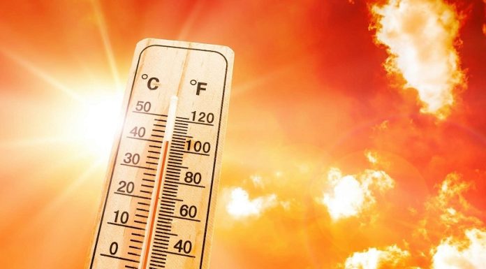 Alerte canicule : Températures jusqu’à 45°C attendues en Tunisie