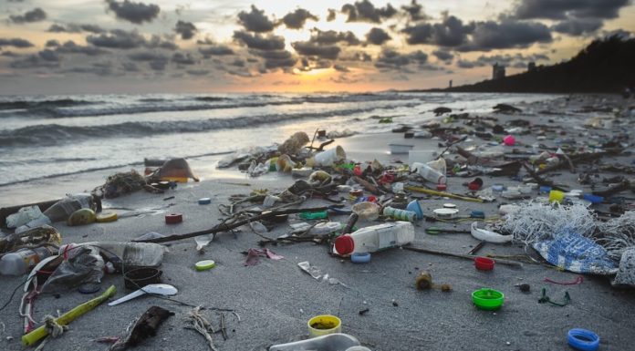 La Tunisie, un pays des moins pollueurs au monde, selon un climatologue
