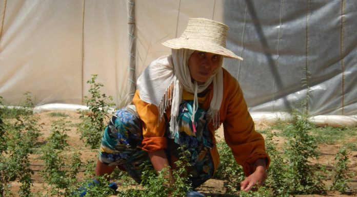 La résilience agricole au travers de l’exploitation durable !