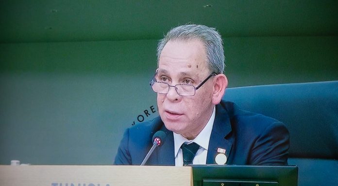 Hachani prêche l’action commune pour des solutions durables de coopération
