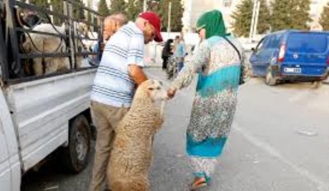 Aid El Idha: La municipalité de Tunis met en place un programme de ramassage des déchetss
