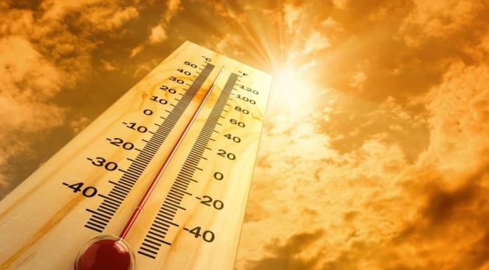 Le mois d’avril 2024 a été plus chaud que la normale