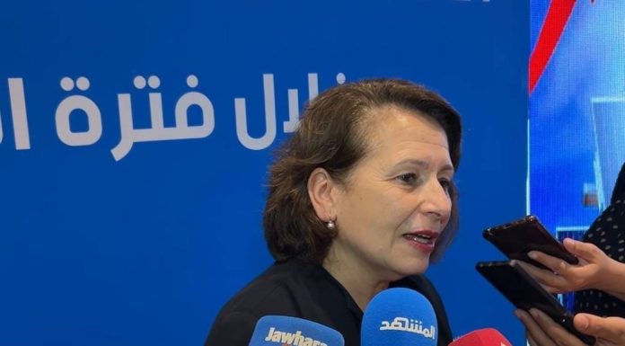 Nous veillons à fournir l’électricité à tous les Tunisiens