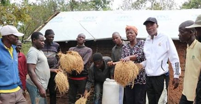 Angola, :Des réfugiés retrouvent autonomie et dignité grâce à des projets agricoles