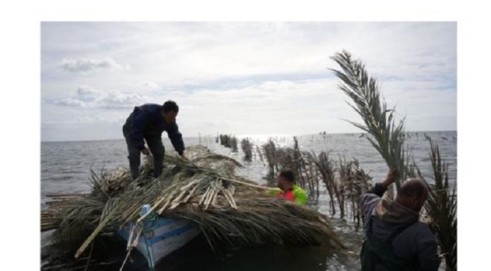 Kerkennah : Clôture du projet « Charfia Road » de mise en valeur de la pêche à la Charfia