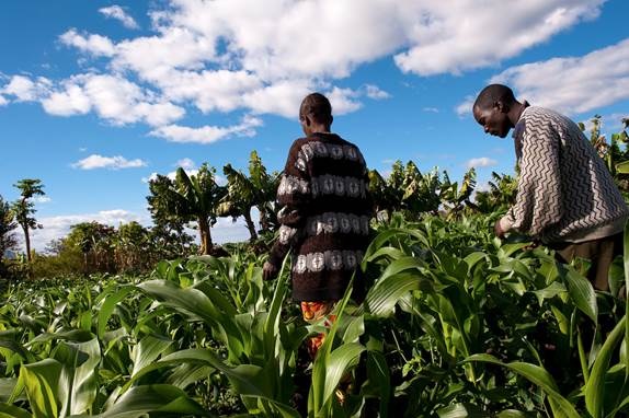 Le programme de la BAD pour le Burundi : 17 projets pour 456,67 MUSD