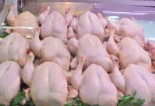 Le prix du poulet est à 8 DT et tout prix supérieur à ce montant est illégal !
