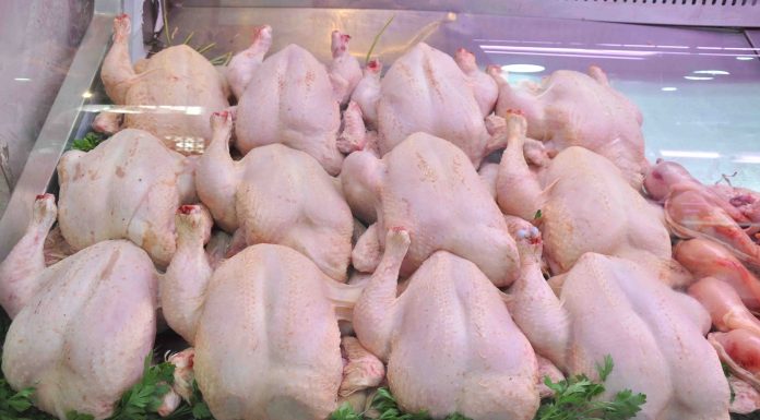 Tunisie: Baisse de 7% des prix de la viande de volaille