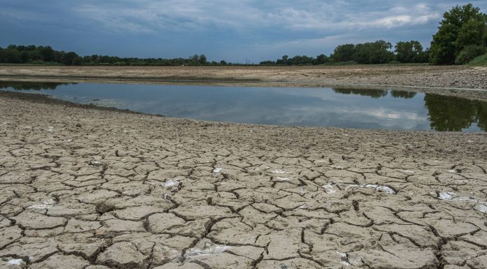 La sécheresse au Maroc et le mauvais climat pèsent lourd sur l’approvisionnement alimentaire