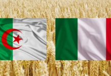 Agriculture : Lancement d’un mégaprojet algéro-italien