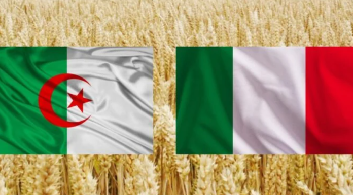 Agriculture : Lancement d’un mégaprojet algéro-italien