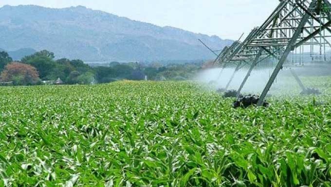 Bilan encourageant du projet « Innovations pour l’Agriculture et l’Agroalimentaire »