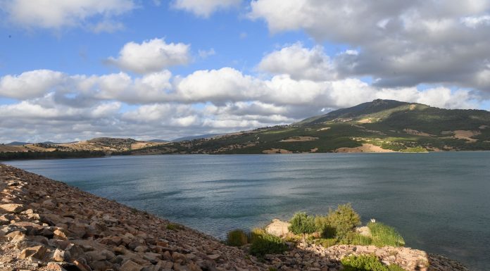 Saied : Les coupures de l’eau, crime contre le peuple et la sécurité nationale