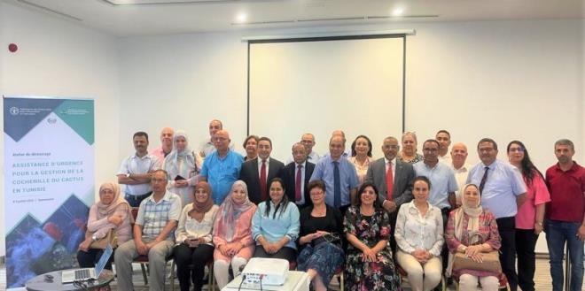 Lancement du projet d’assistance d’urgence pour la gestion de la cochenille de cactus en Tunisie