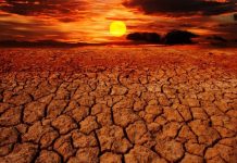 Réchauffement climatique: La Tunisie en zone rouge, selon un climatologue!